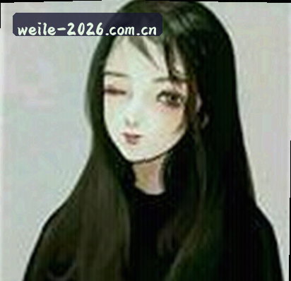 赵磊